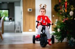 Lionelo Haari - Driewieler - Drankhouder - 2in1 - Tot 36+ -Babyreizen 1200x799 19