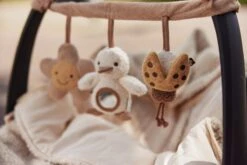 Jollein Wagenspanner - Spring Garden -Babyreizen 1200x800 46