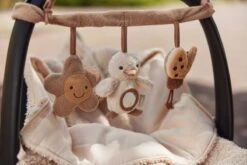 Jollein Wagenspanner - Spring Garden -Babyreizen 1200x800 47