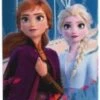 Disney Frozen Frozen 2- Gordelbeschermer 1 Disney Frozen Frozen 2- Gordelbeschermer -Babyreizen 434x1200