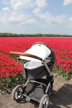 Dooky Universal Cover Zonnescherm Kinderwagen - Crème -Babyreizen 800x1200 21